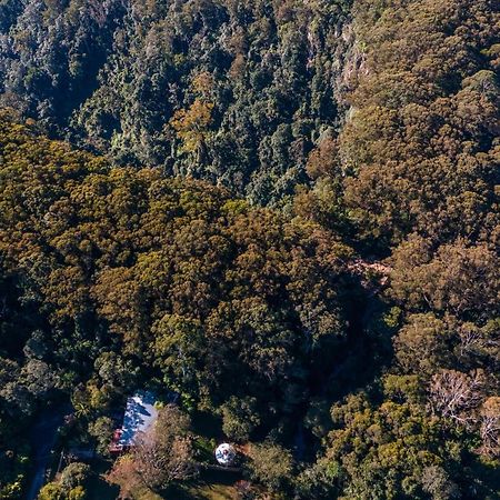 Hotel Purling Brook Falls Gwongorella Springbrook Exteriér fotografie