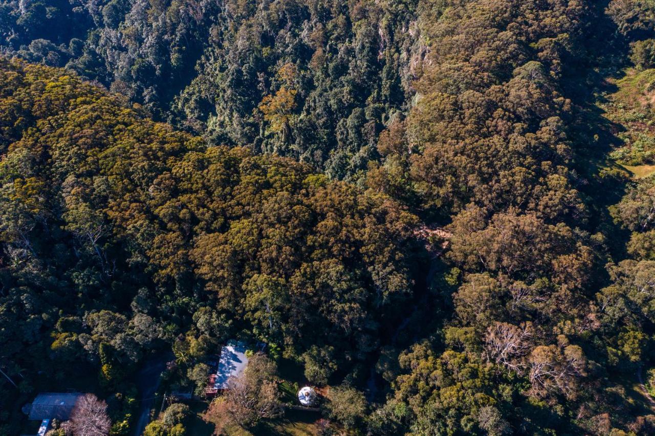 Hotel Purling Brook Falls Gwongorella Springbrook Exteriér fotografie