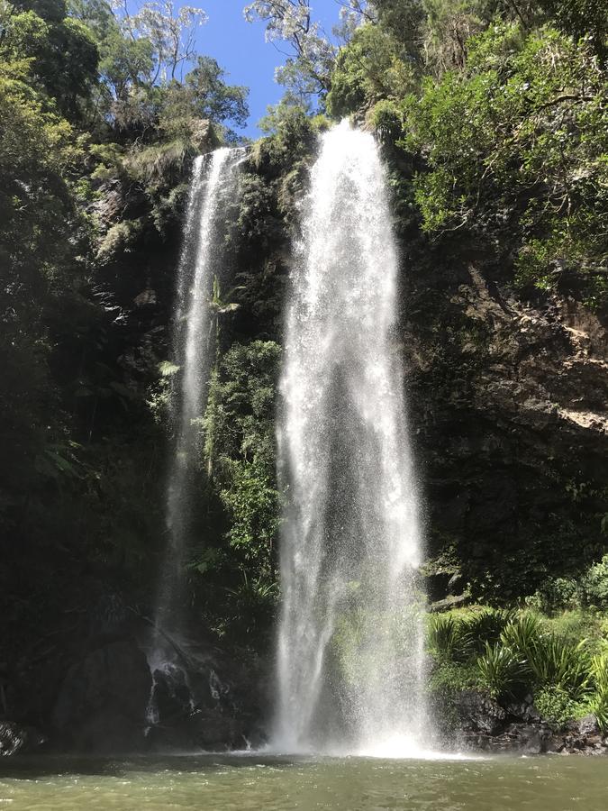 Hotel Purling Brook Falls Gwongorella Springbrook Exteriér fotografie