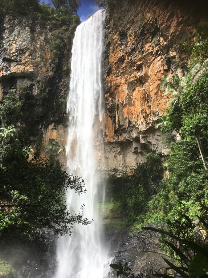 Hotel Purling Brook Falls Gwongorella Springbrook Exteriér fotografie