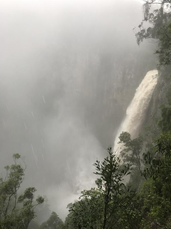 Hotel Purling Brook Falls Gwongorella Springbrook Exteriér fotografie